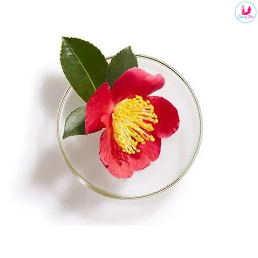 Shiseido Tsubaki Premium Moist & Repair Conditioner [450ml] 